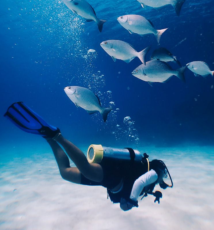Scuba Roatan